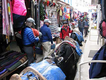 Karen and George are stopped by a Namche traffic jam