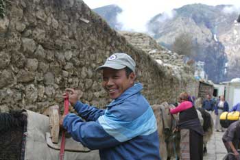 Ang Nima getting our yaks ready to transport our gear