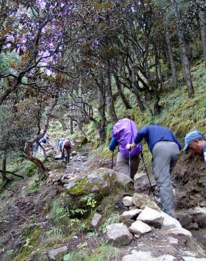 The steep trail to Tangboche