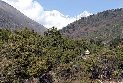 A view up the valley