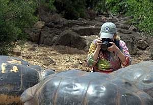 leila getting very up close and personal with the local turtles