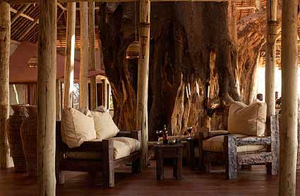 The lounge at Tarangire Treetops Lodge in Tarangire National Park