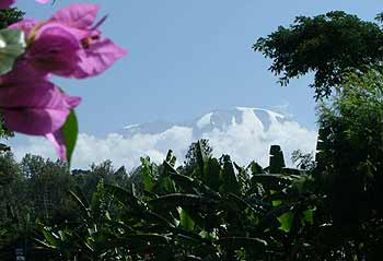 Mt. Kilimanjaro - The Highest Point in Africa