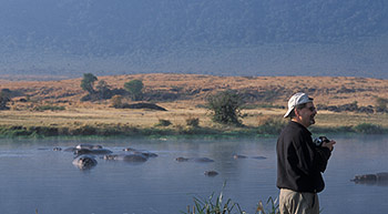 Hippo pool