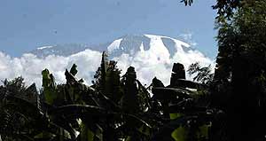 First views of Kibo from Machame