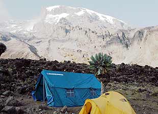 BAI tents beneath Kilimanjaro
