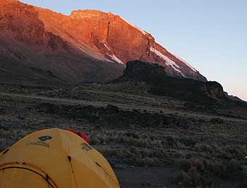 Kilimanjaro from Lava Tower Camp