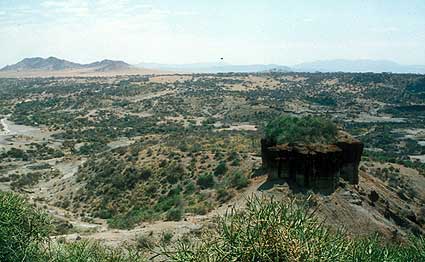 The Olduvai Gorge