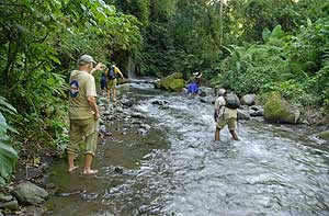 Up the river in search of the waterfalls