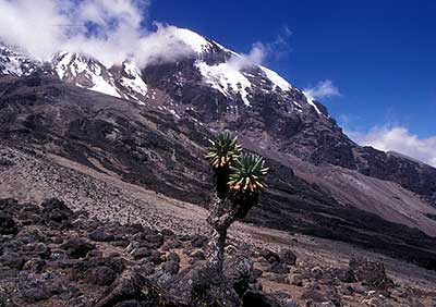 The alpine desert landscape