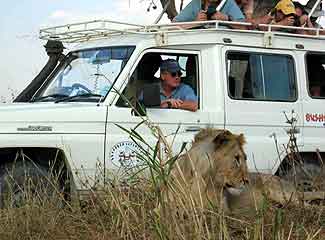 Frank and the lion
