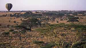 BAI balloon over the serengeti