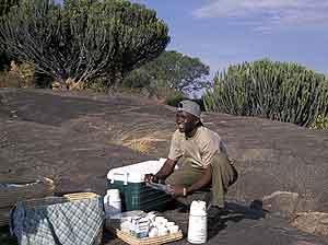 Serengeti Picnic