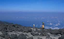 Porters arriving at high-camp on Kili.