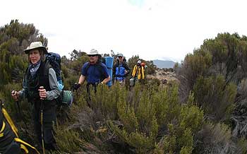 Hiking on the Shira Plateau