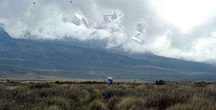 Kilimanjaro coming out of the clouds