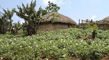 Typical Wa Arusha home along the Mt Meru Foothills Hike