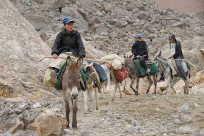 The traditional Tajik taxis