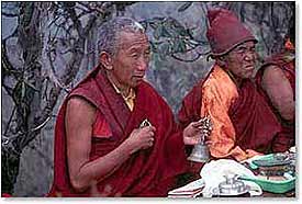 Rinpoche Lamas