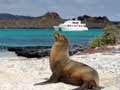 Galapagos 8-day Crui