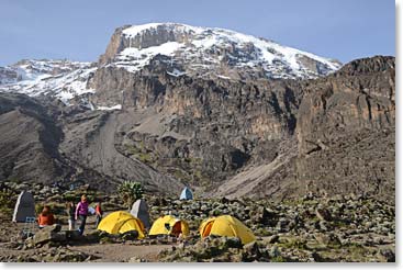 Barranco Camp on the Umbwe Circuit Route is one of the finest on the mountain.