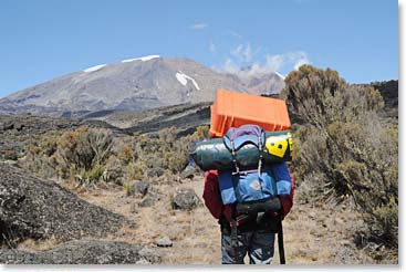 BAI support staff, carrying medical supplies, with stunning views of Kilimanjaro ahead