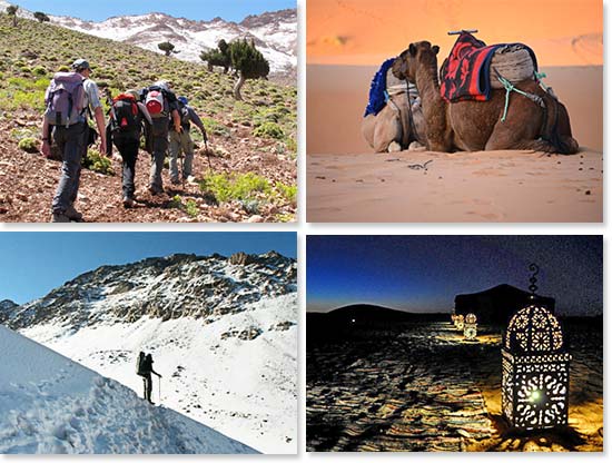 Upper left: Hiking through the lush green trails in Toubkal National Park; Lower left: Hiking Mount Toubkal; Upper right: Camels rest in the tranquil Sahara desert; Lower right: Enjoying a peaceful night in the desert outside of our camp