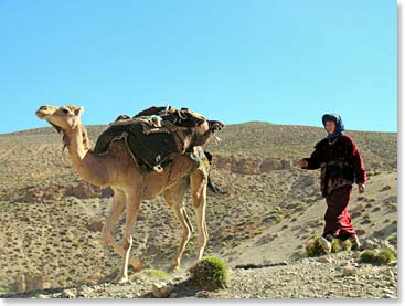 Berber nomads