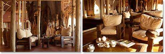 Lounge in Treetops Lodge