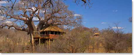 Treetops Lodge