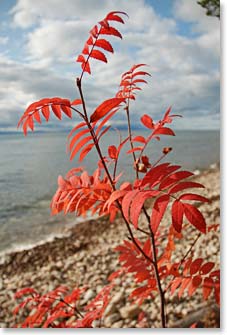 September brings an explosion of color along the shores of Lake Baikal.