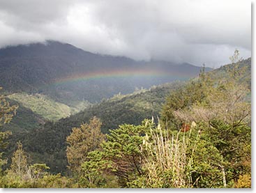 The jungles of Papua provide breathtaking scenery.