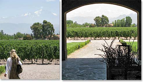 Visiting Mendoza's Vineyards