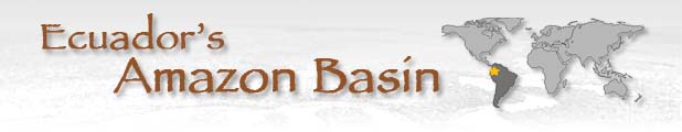 Title image - BAI takes you to: Ecuador's Amazon Basin