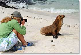 Taking Photo of Sea Lions