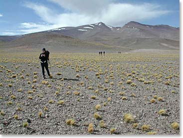 Looking across the endless desert