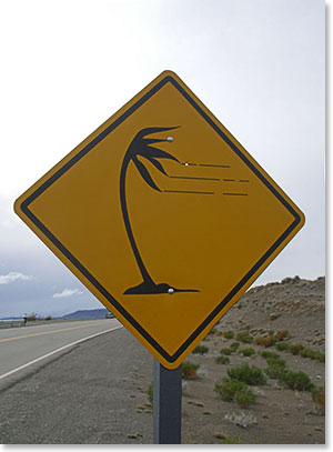 Patagonia road sign