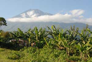 Mt. Kilimanjaro