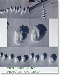 Photos taken by Ang Temba last January of Yeti Footprints