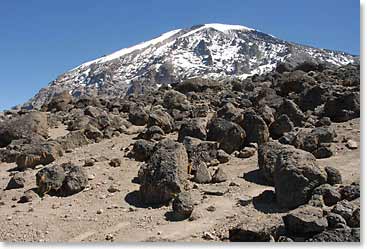 Views of the top of Kilimanjaro