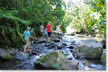 Walking up the wild canyon to find a magnificent waterfall