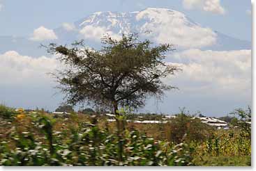 The Huffines first views of Kilimanjaro