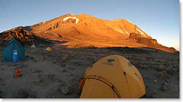 Kilimanjaro via Lemosho route