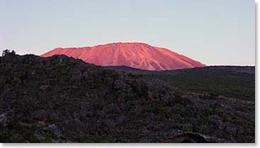 View of Kilimanjaro