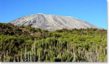 View of Mt. Kilimanjaro via Rongai Route