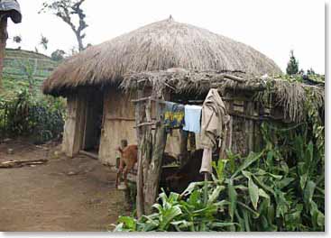 Homes we see in the Masai Villages