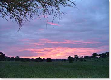 A colorful sunset covers the African night sky