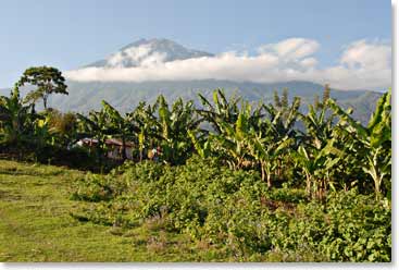 Kilimanjaro volcanos