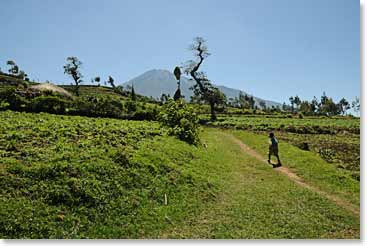 View of Mt. Meru