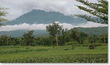 First view of Kilimanjaro amongst the clouds.